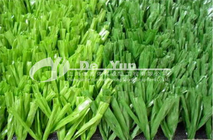 荷蘭網絲足球草1_看圖王.jpg